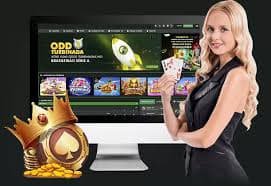 VIP Program vegasslot